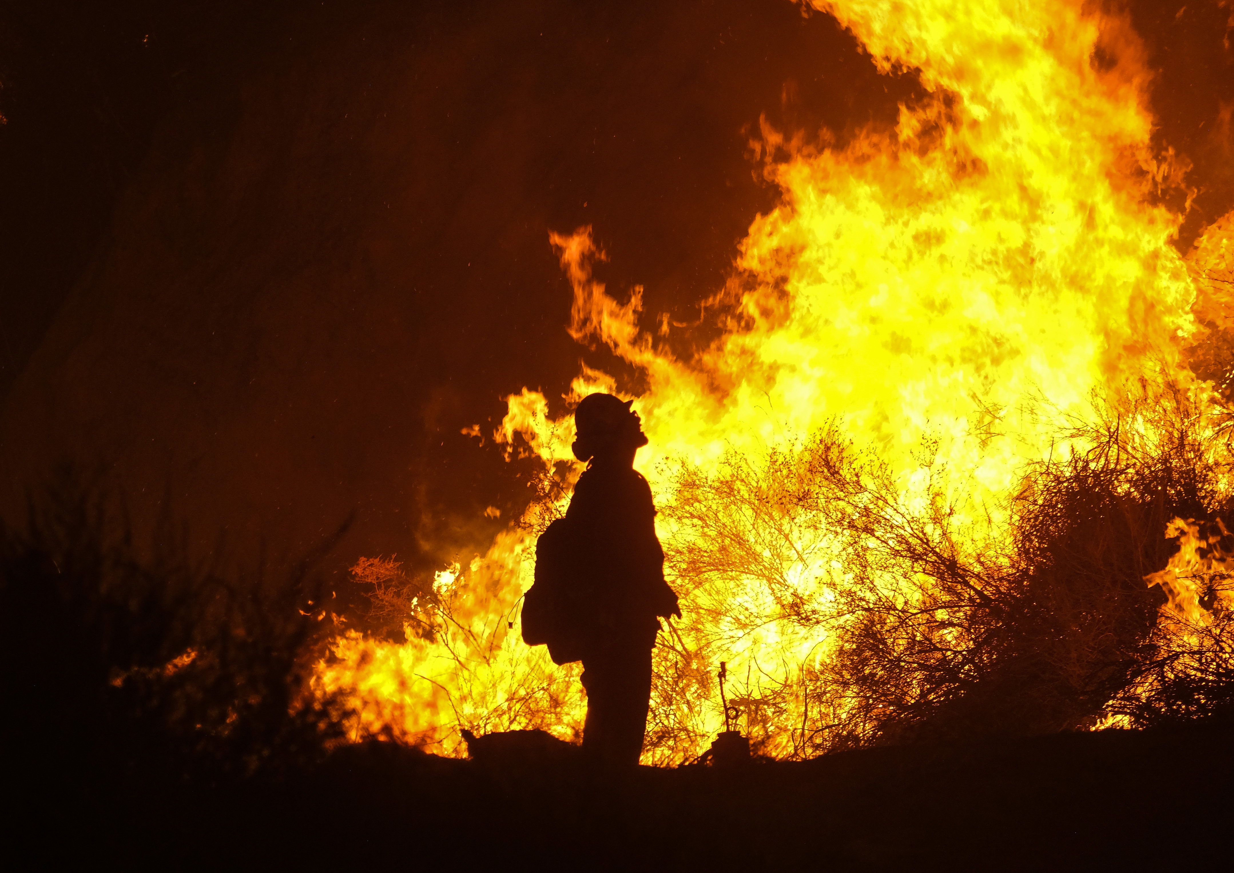 Photo of firefighter at the Holy Fire