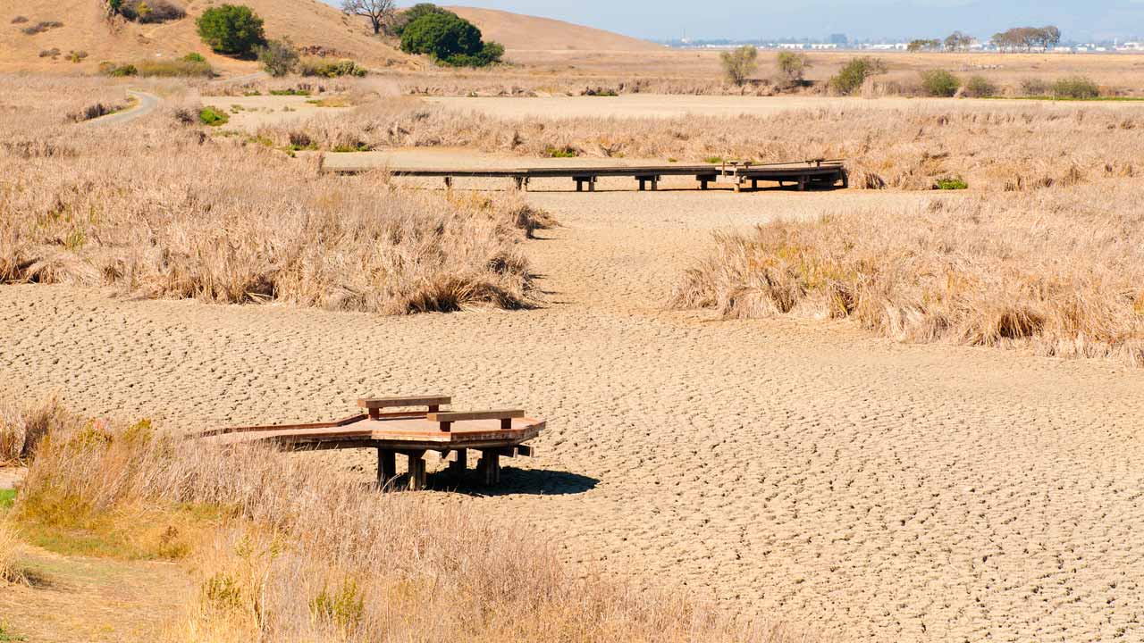 Photo of a parched California wetland