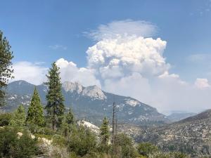 Photo of the Castle Fire