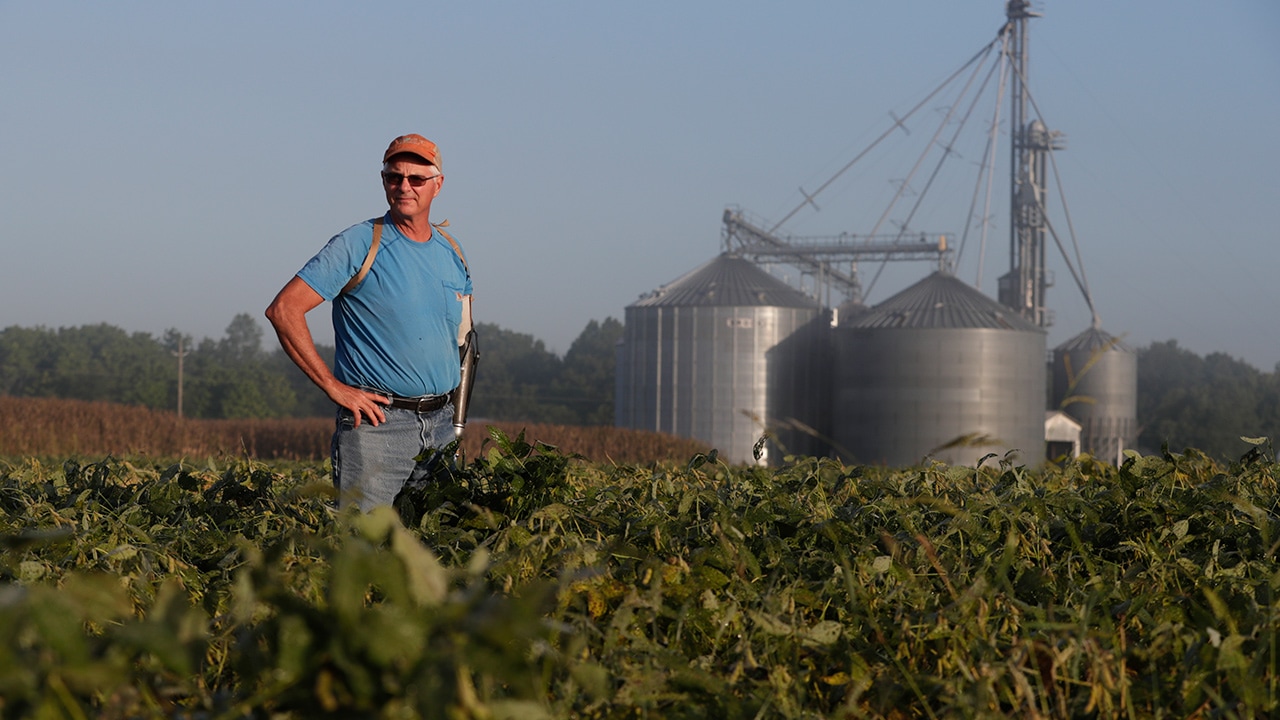 Photo of Jack Maloney overlooking his soybean fields