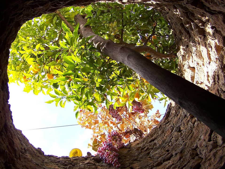Photo of Forestiere Underground Gardens