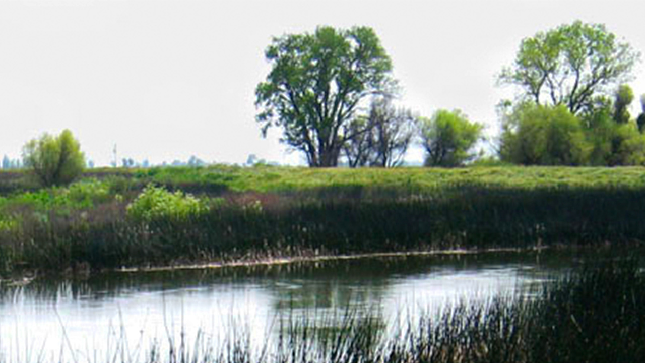 Photo of a Fresno Irrigation District canal