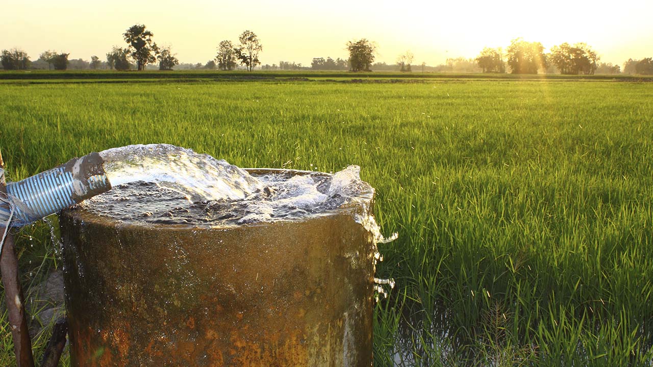 Image of groundwater spigot irrigating a lush green field at sunrise