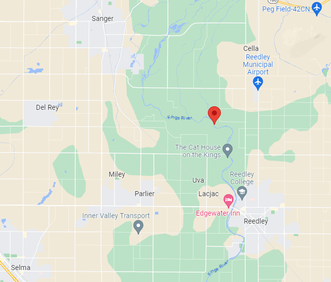 Horse Rescued from Kings River