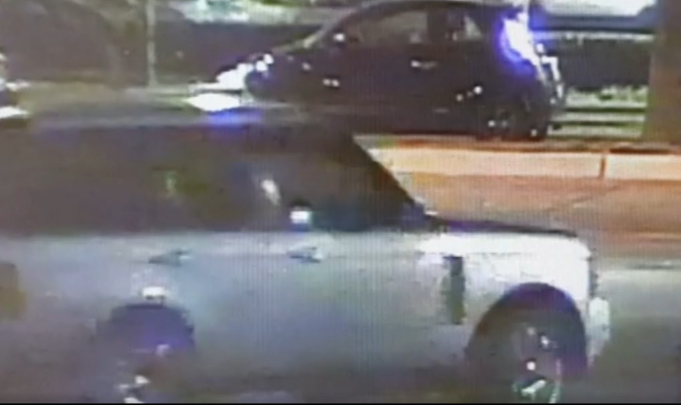 Suspected car break-in thief
