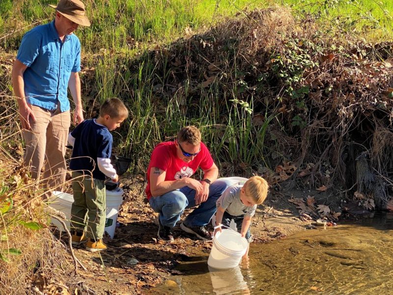 Photo of volunteers releasing trout fry into the Kings River