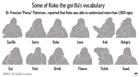 Koko the gorilla sign language chart