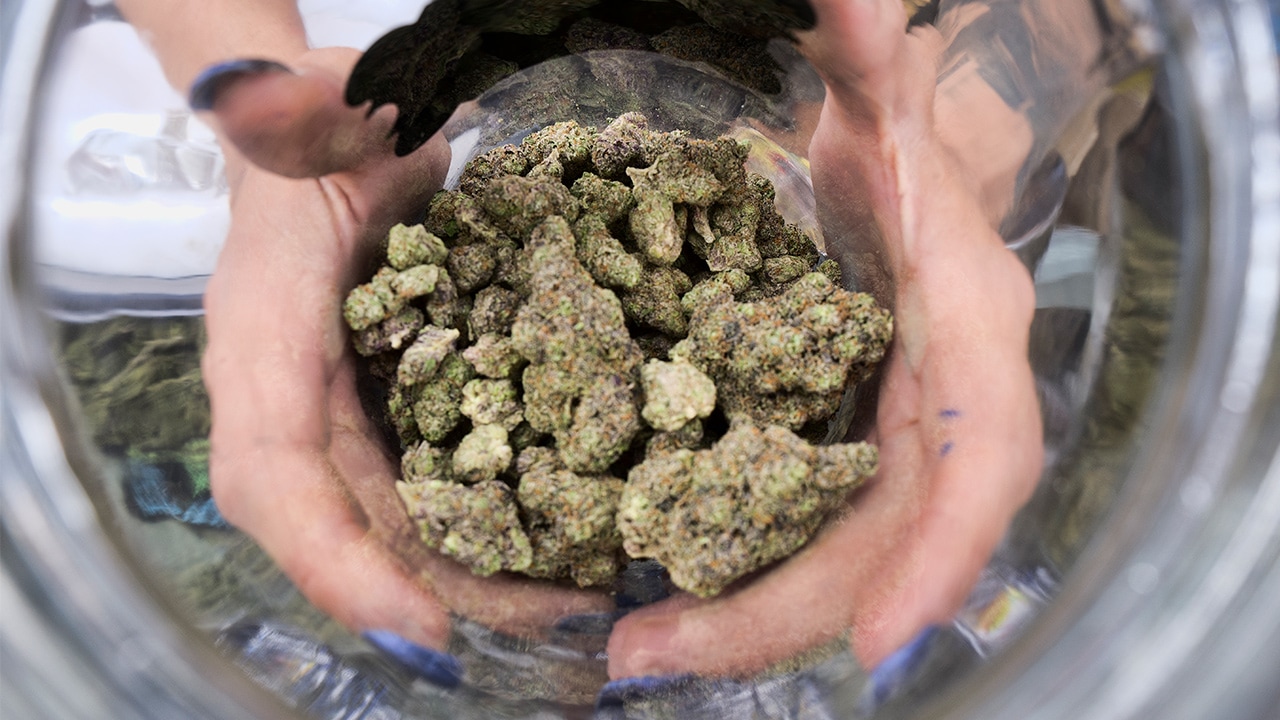 Photo of a bud tender displaying a jar of cannabis