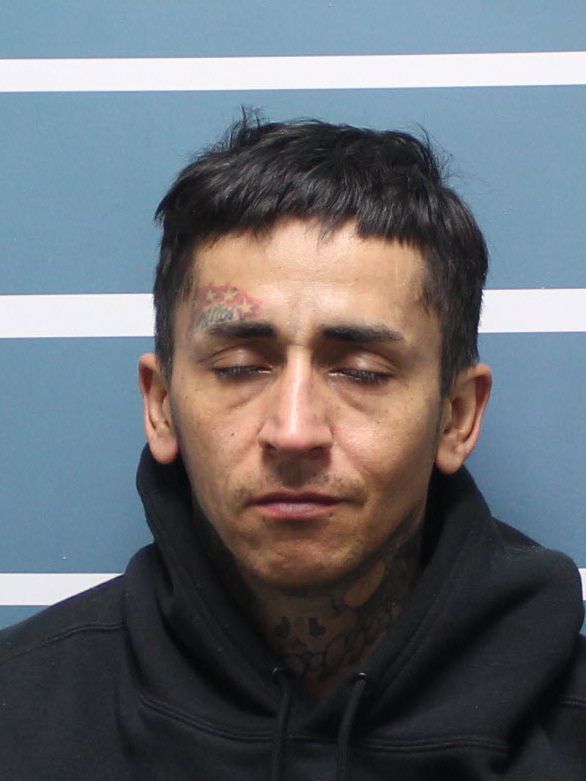Mark Martin booking photo