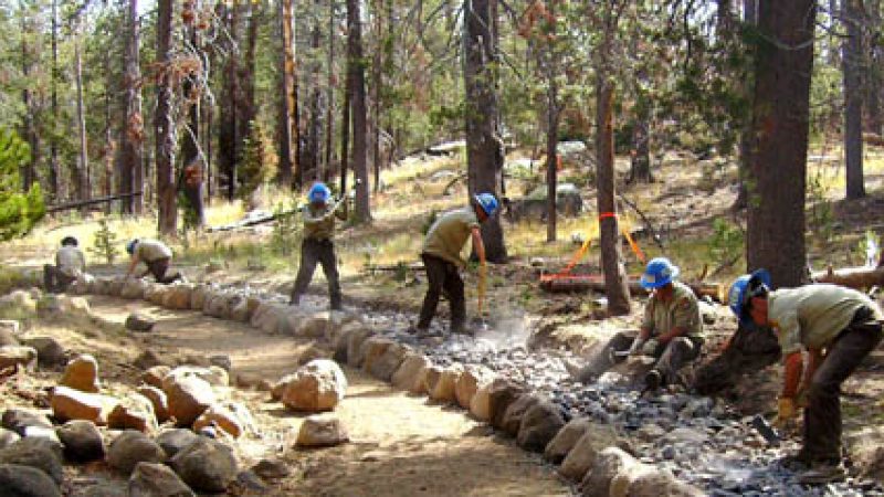 California Conservation Corps members improve a trail in Northern California