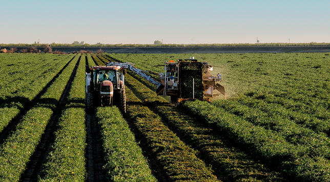 Westside farm