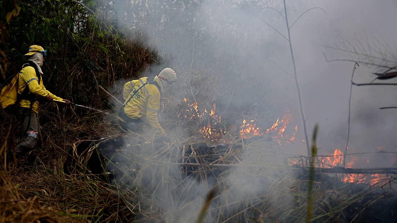 Photo of firefighters working to put out fires in the Jacunda National Forest