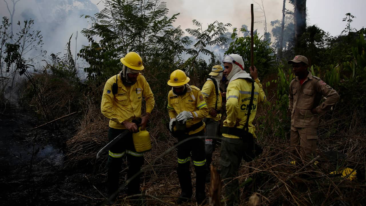 Photo of firefighters in the Jacunda National Forest 