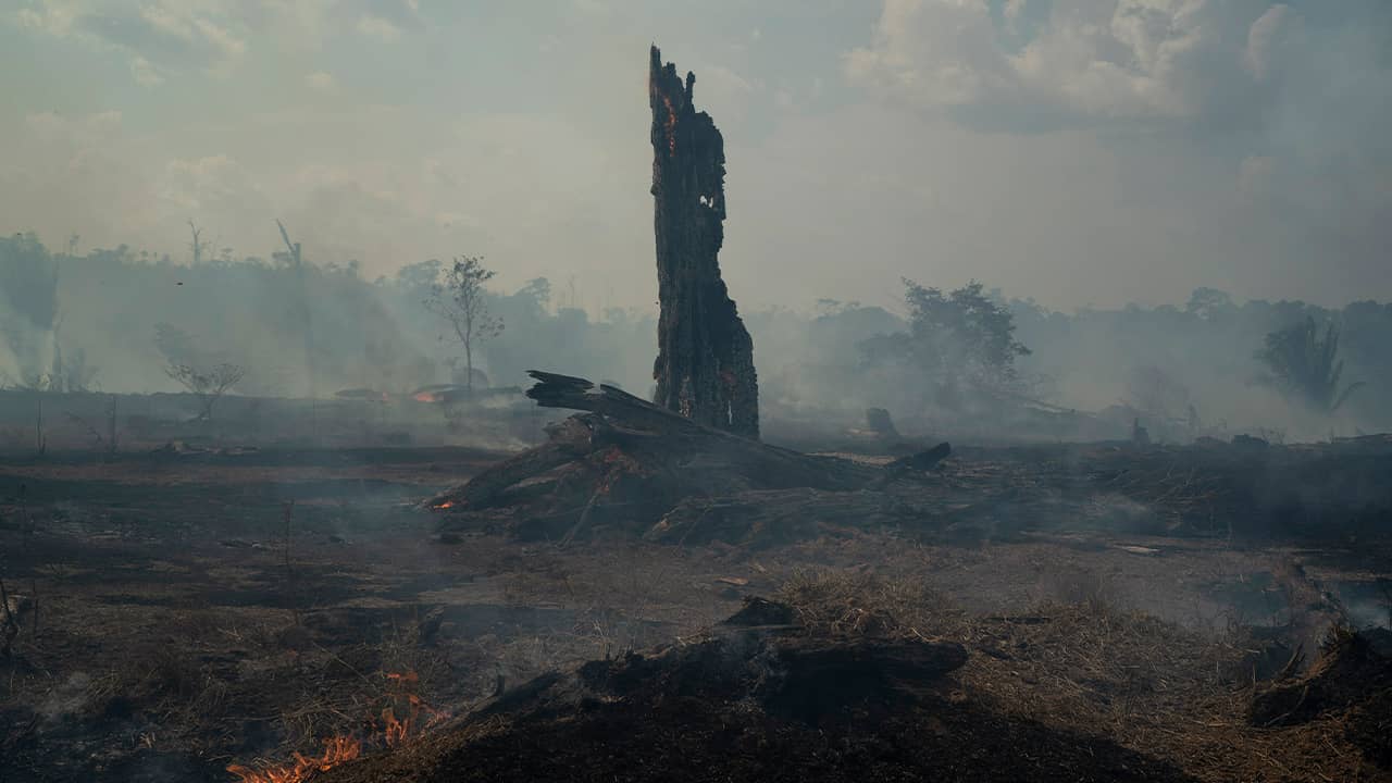 Photo of a forest fire in Altamira in Brazil's Amazon