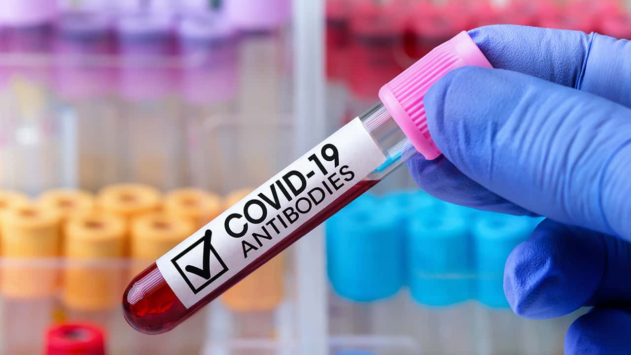 Photo of a blood vial labeled "COVID-19 antibodies"