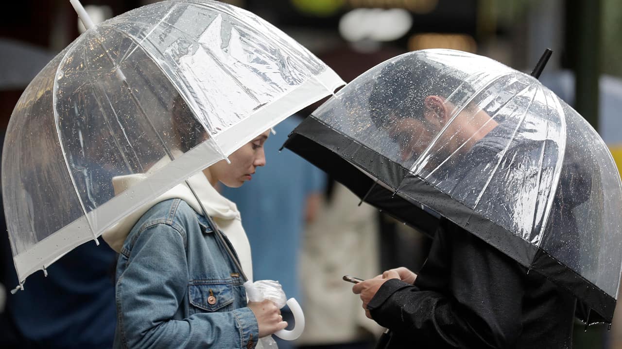 Photo of a couple sheltered under umbrellas as rain falls in Sydney 
