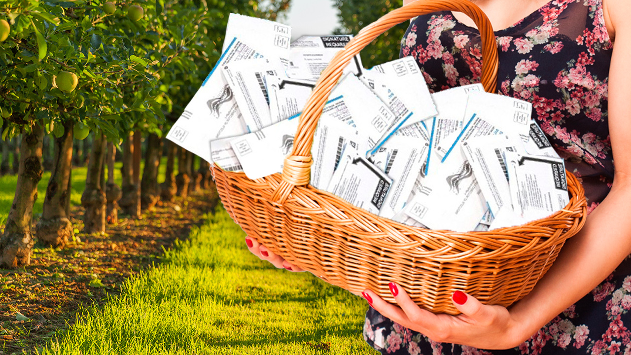 Photo illustration with voting ballots in a basket