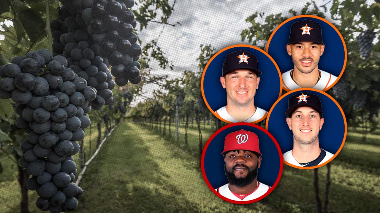 Portraits of the Astros' Alex Bregman, Carlos Correa and Kyle Tucker, and the Nationals' Fernando Rodney against a field of grapes