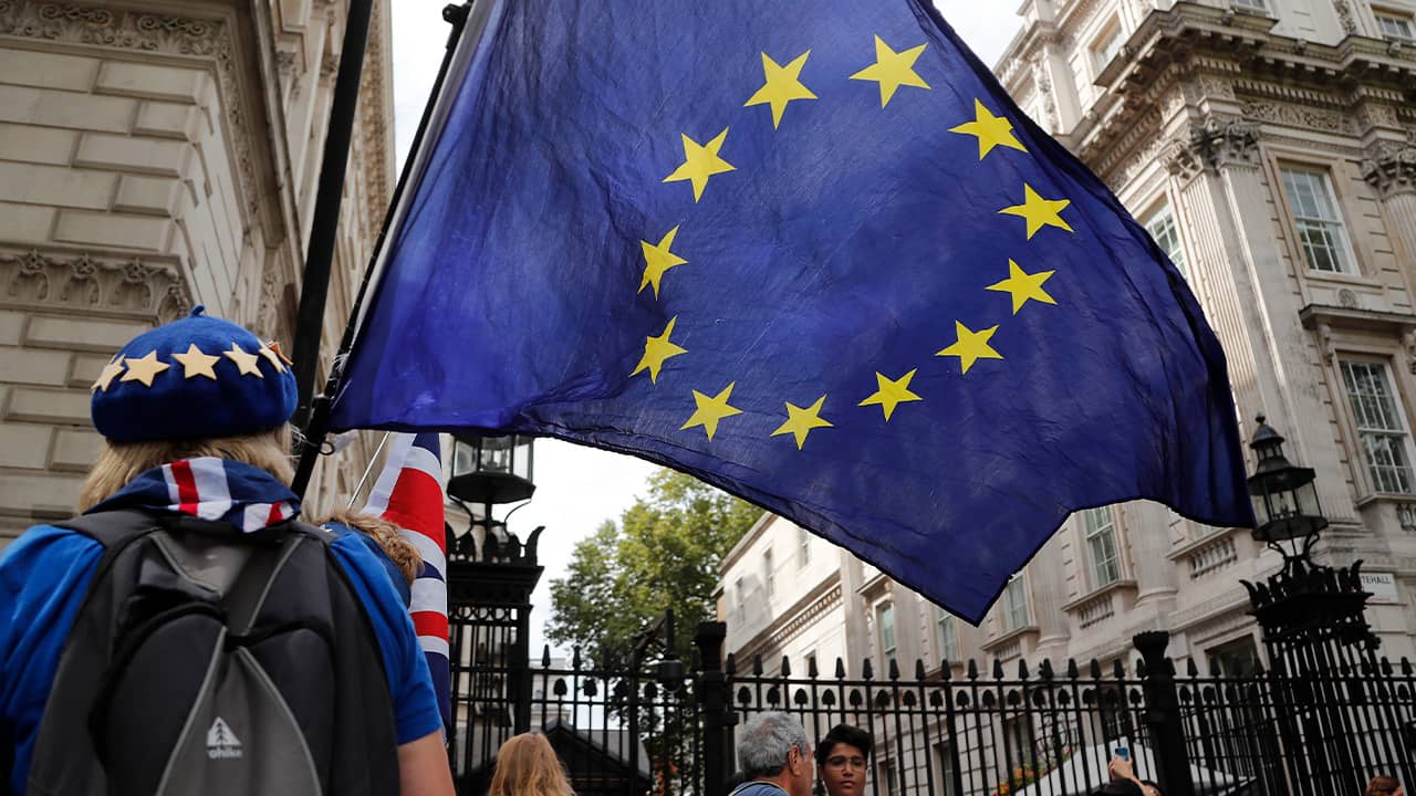 Photo of a pro EU protestor waving a European flag in London 