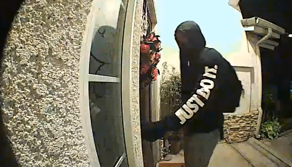 Northwest Fresno Burglars