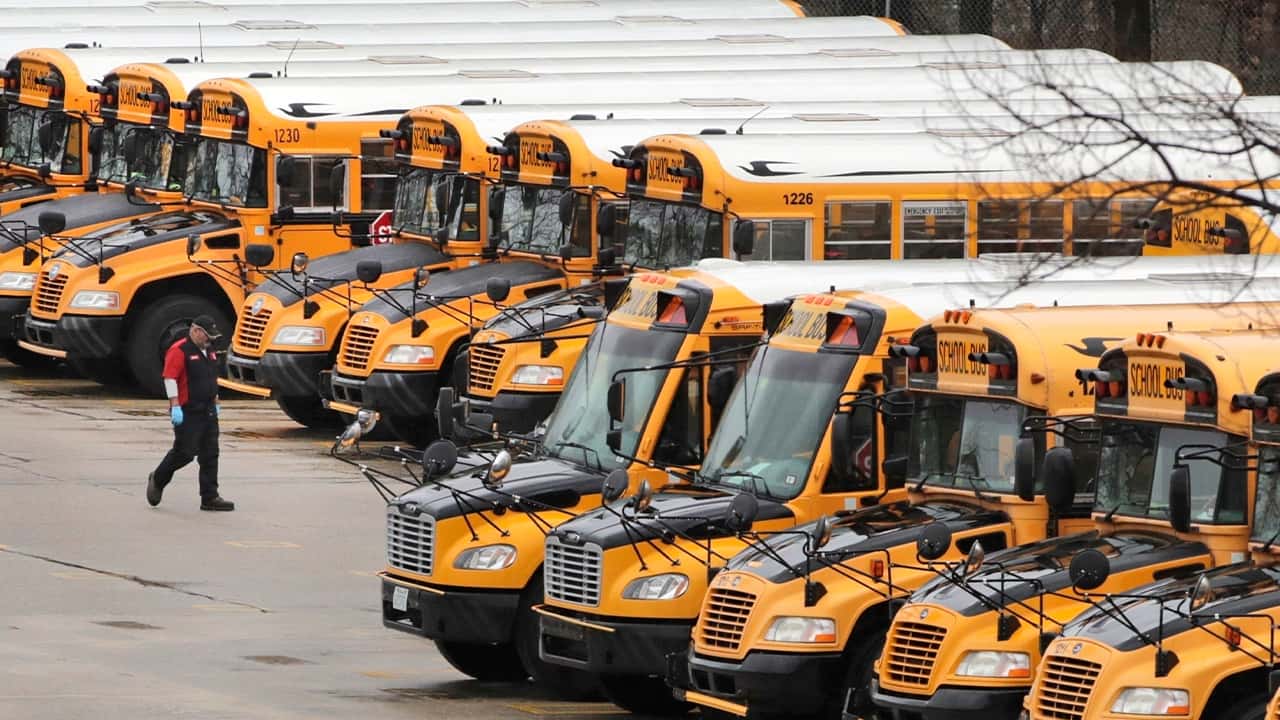 Photo of school buses