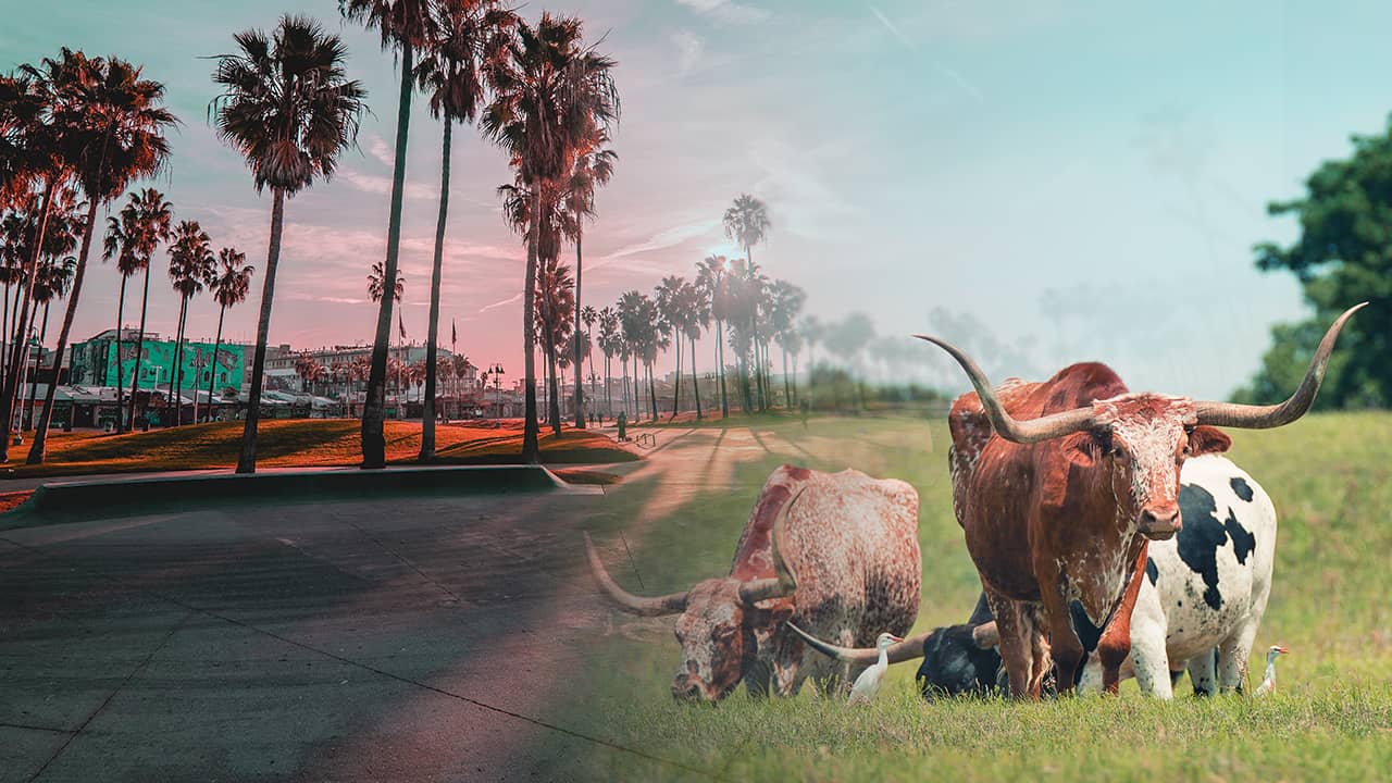Photo illustration of California and Texas scenes