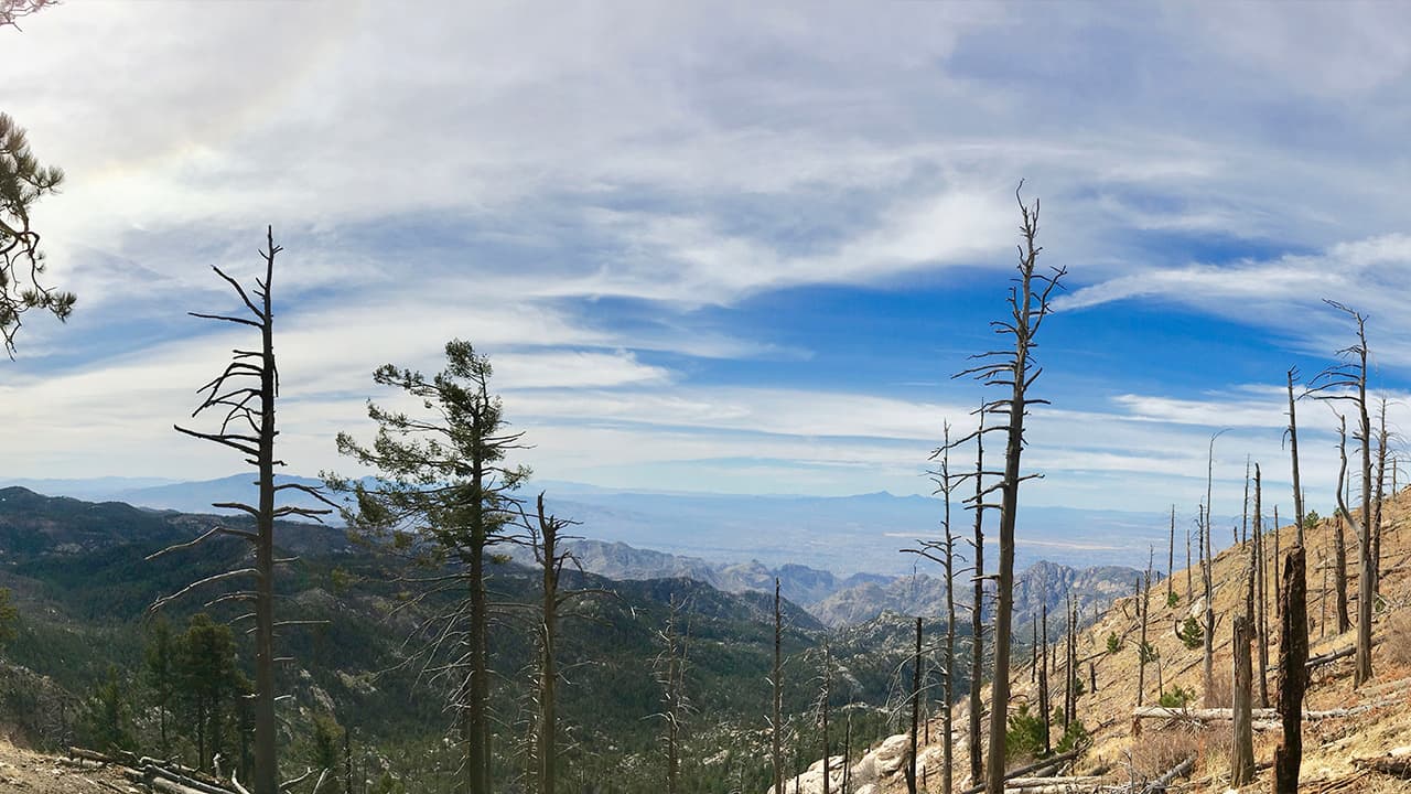 Photo of the Catalina Mountains