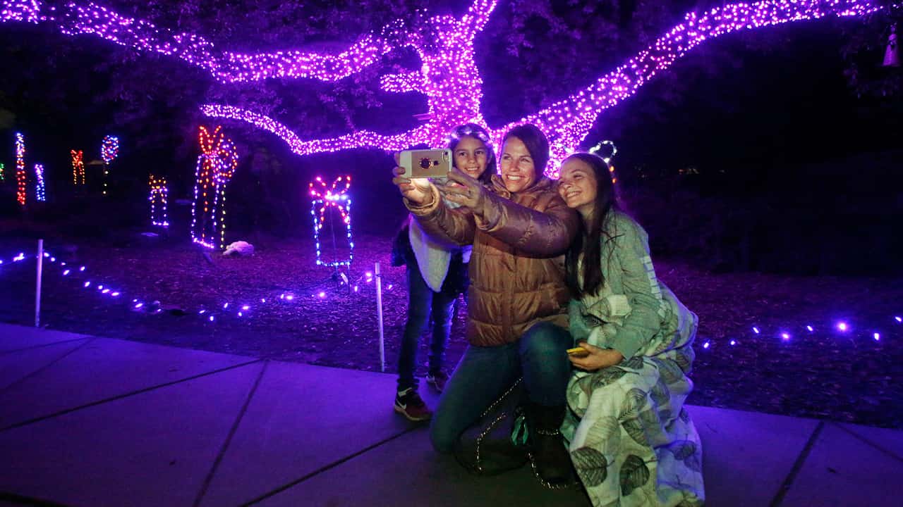 A photo of people enjoying Zoo Lights