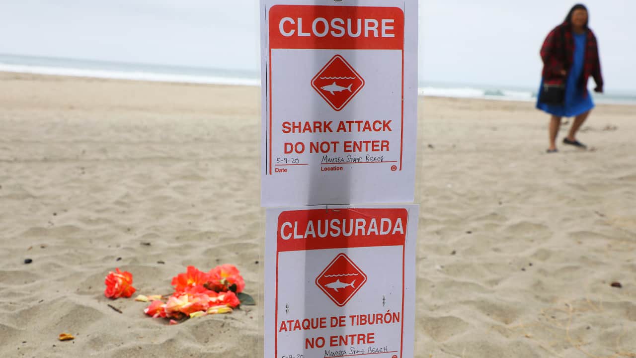 Photo of a closure sign
