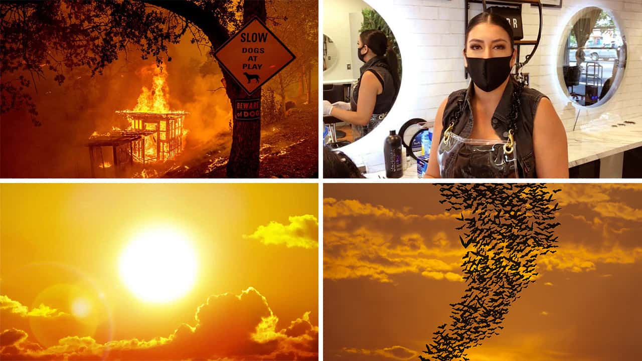 Pictures of challenges facing Fresno, California: heatwave, blackouts, potentially rabid bats, and COVID-19