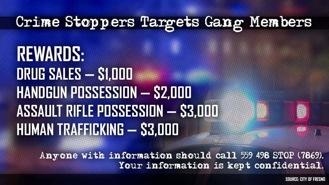 Graphic detailing Crime Stoppers rewards for gang crimes