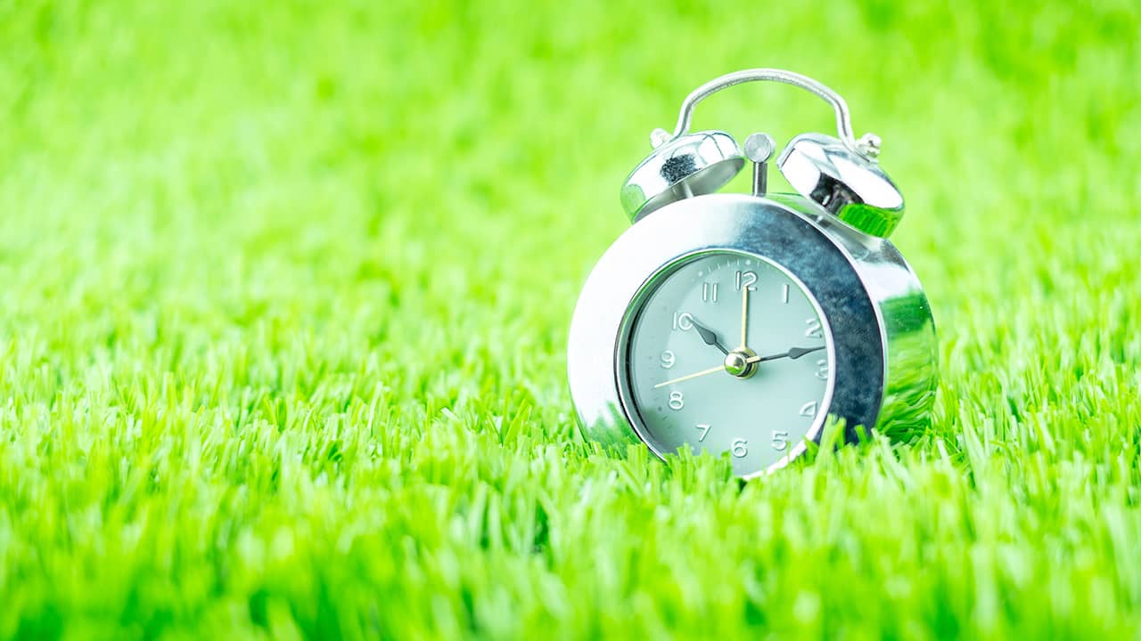 Photo of a clock sitting in grass