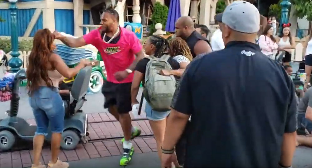 Disneyland fight