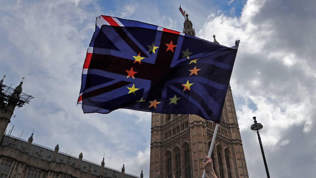 Photo of a pro EU protestor waving flags opposite the House of Parliament in London
