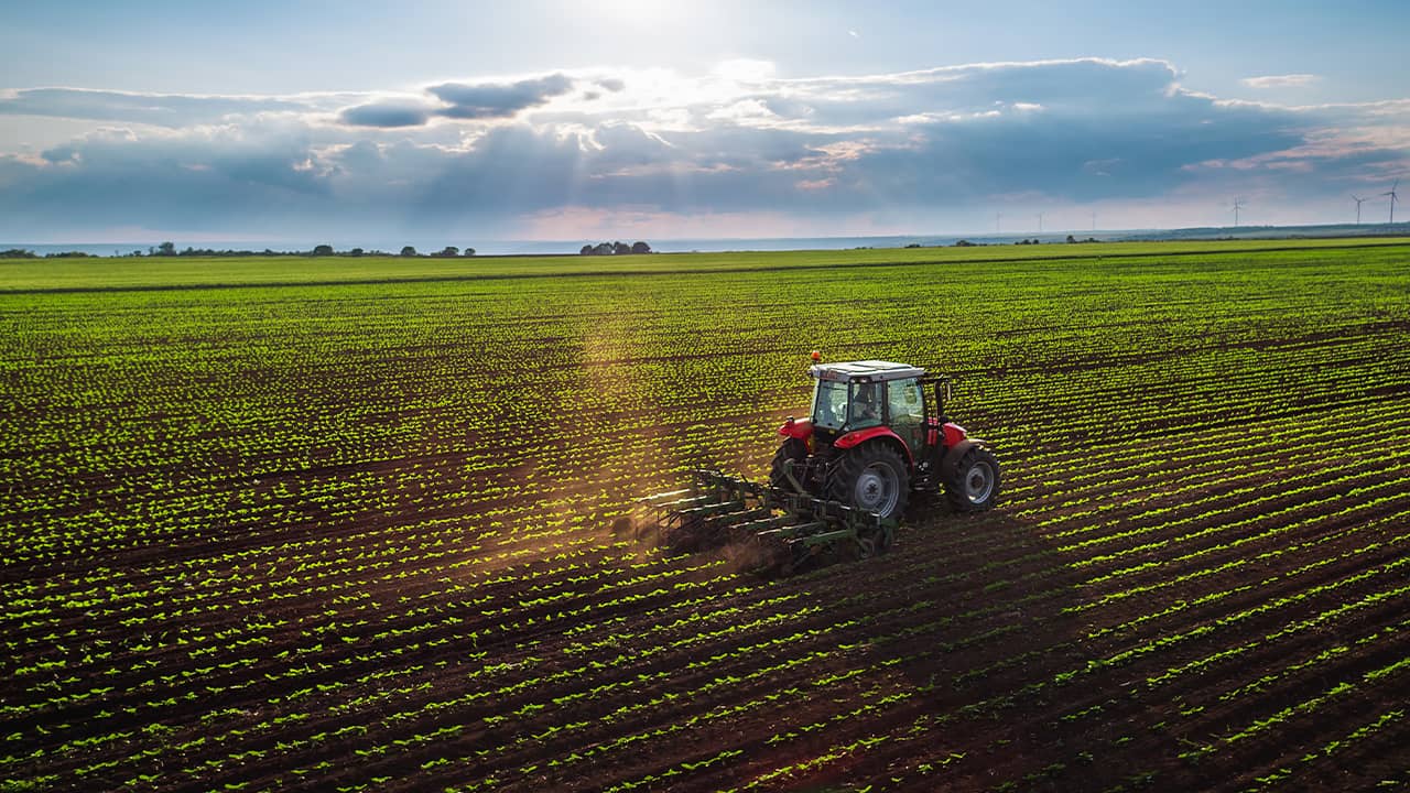 Photo of aerial view of farming