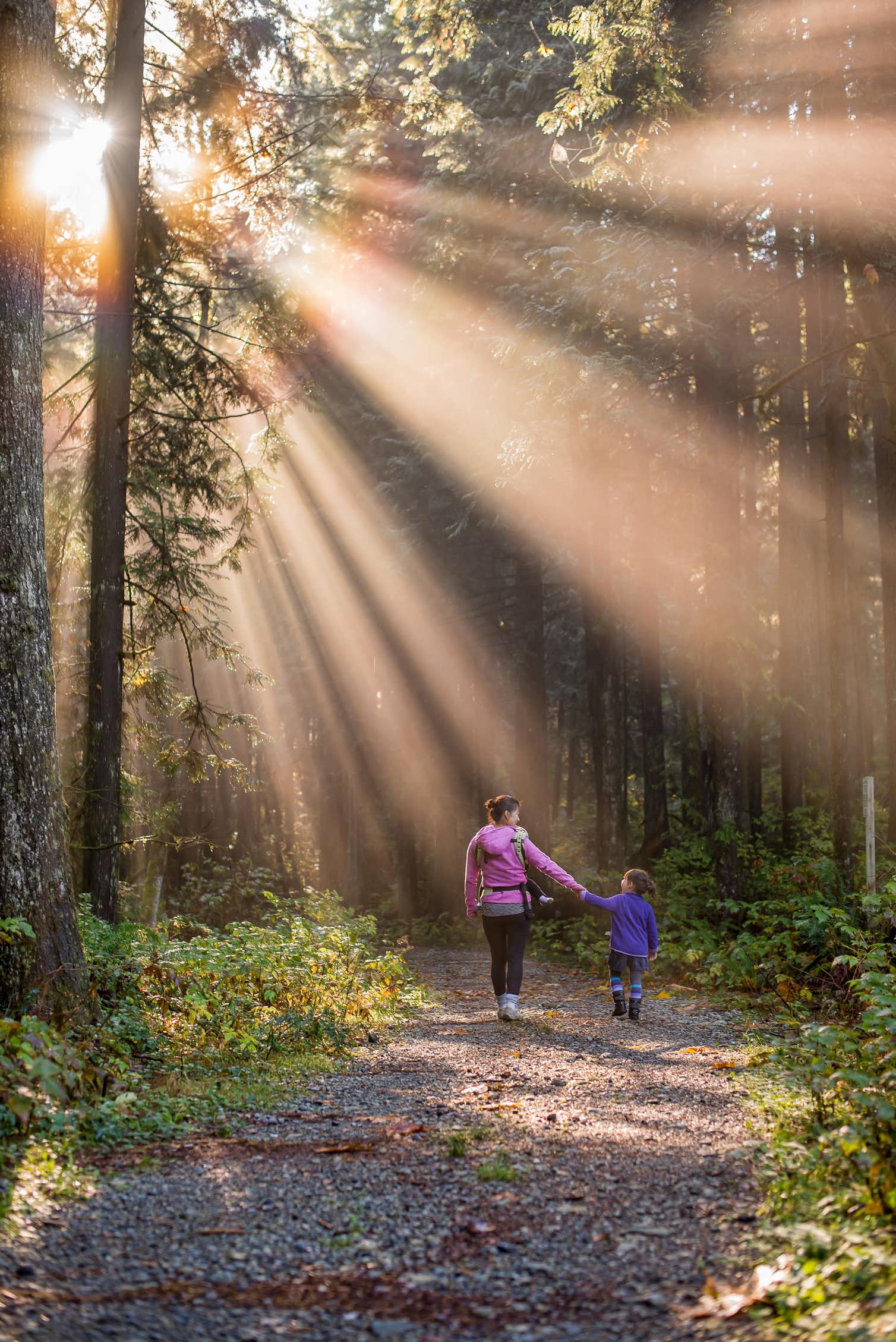 Photo of mother and child walking in a forest