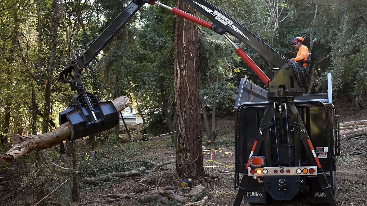 Photo of an employee loading eucalyptus logs onto a truck 