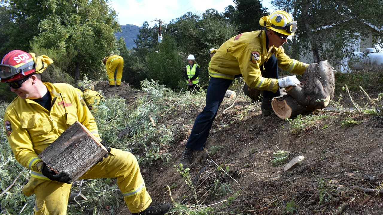 Photo of a fire prevention crew hauling away sections of tree they cut down
