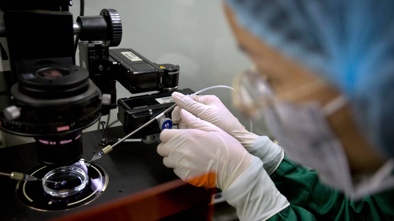 Photo of Zhou Xiaoqin installing a fine glass pipette into a sperm injection microscope