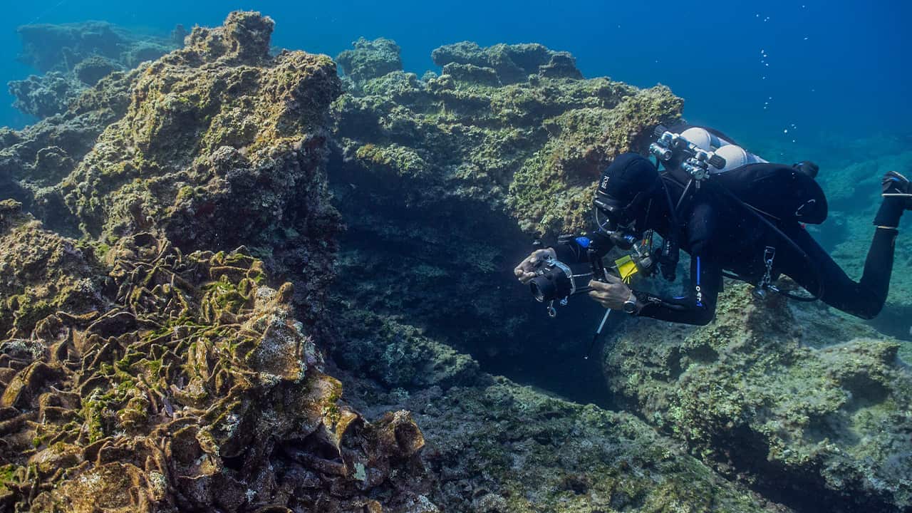 Photo of an archeologist in an underwater excavation
