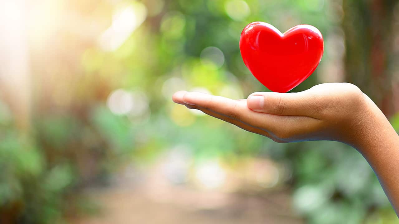 Photo of a hand holding a decorative heart signifying generosity
