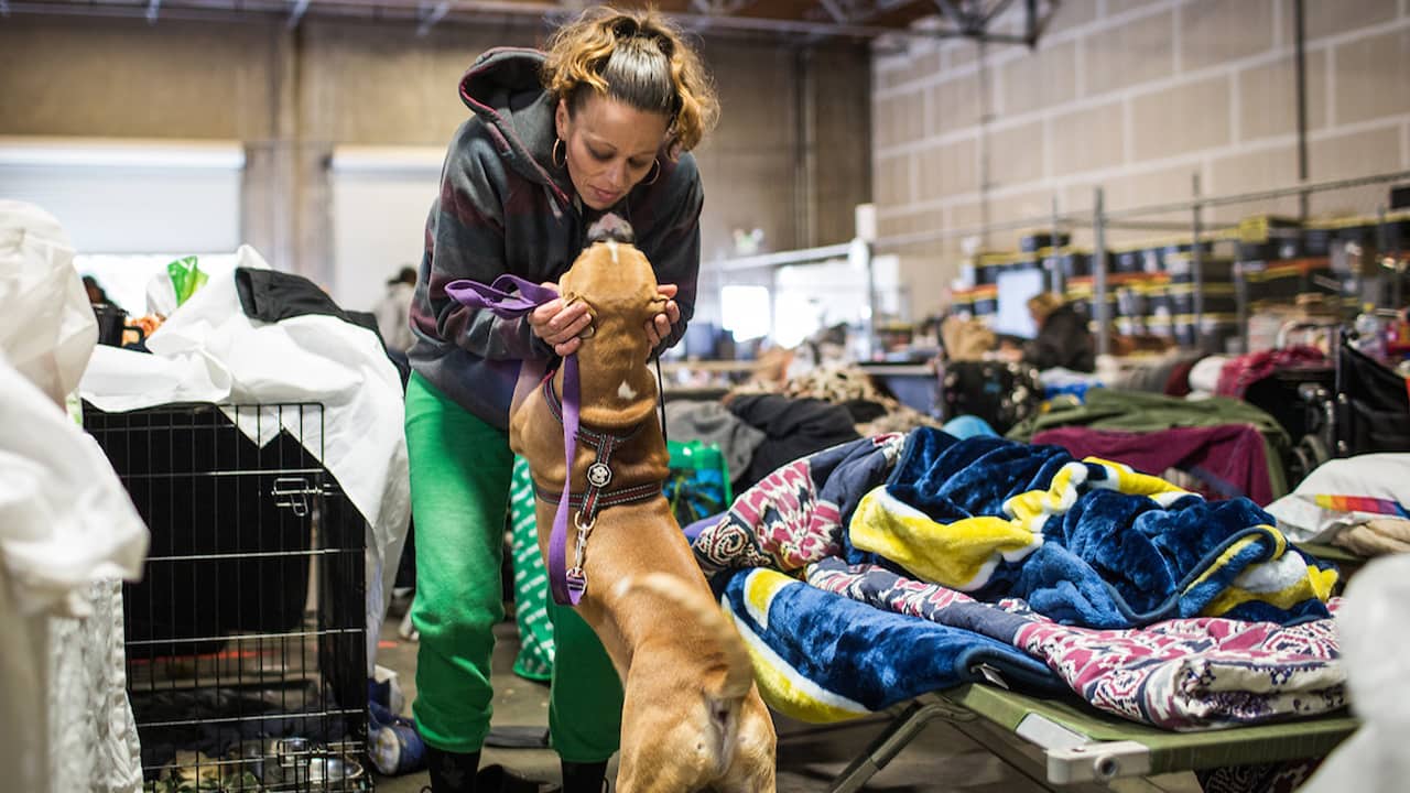 Photo of a woman greeting her dog 