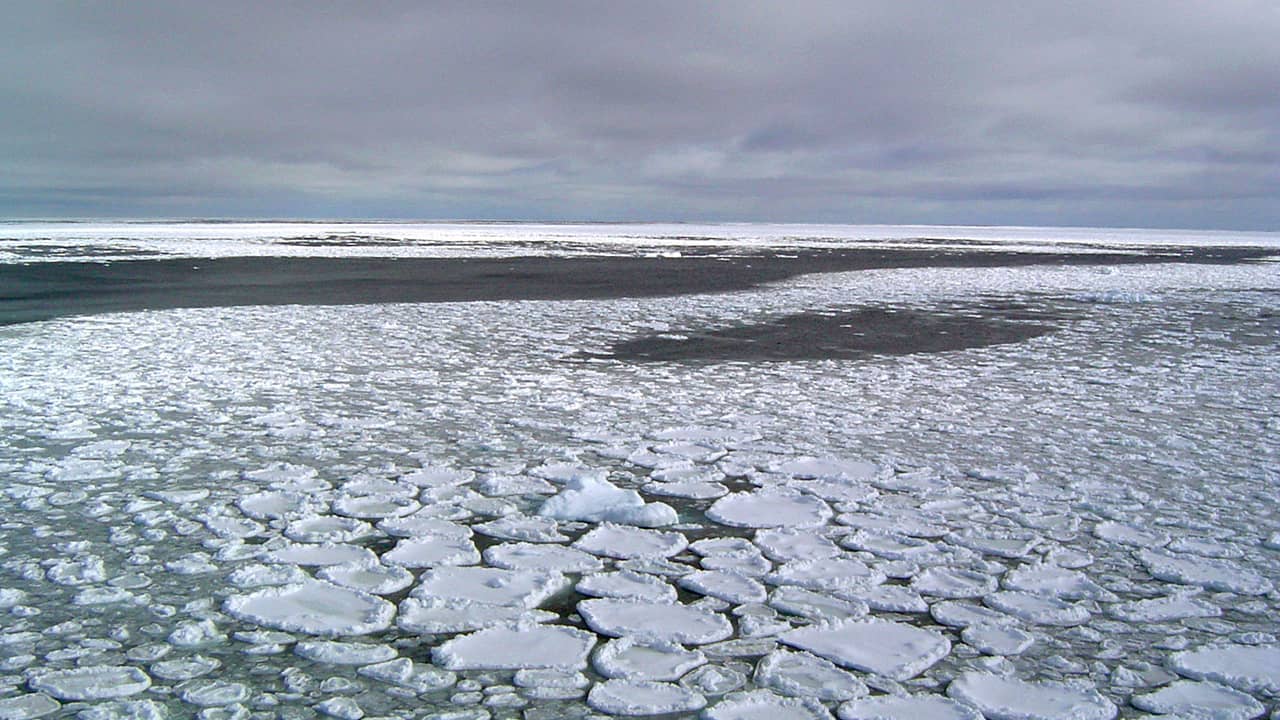 Photo of sea ice