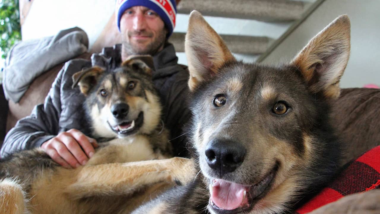 Photo of Iditarod musher Nicolas Petit posing with two of his dogs in Anchorage