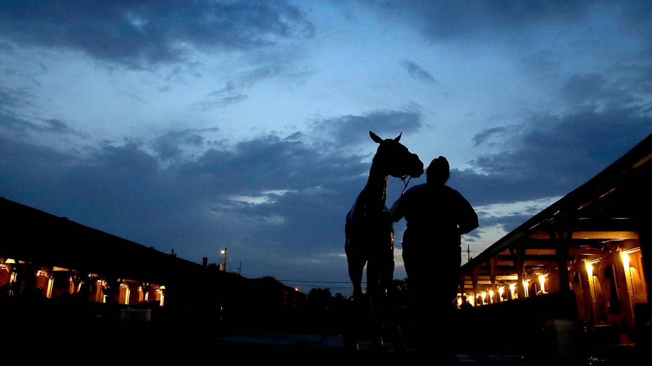Photo of a horse getting a bath at Churchill Downs