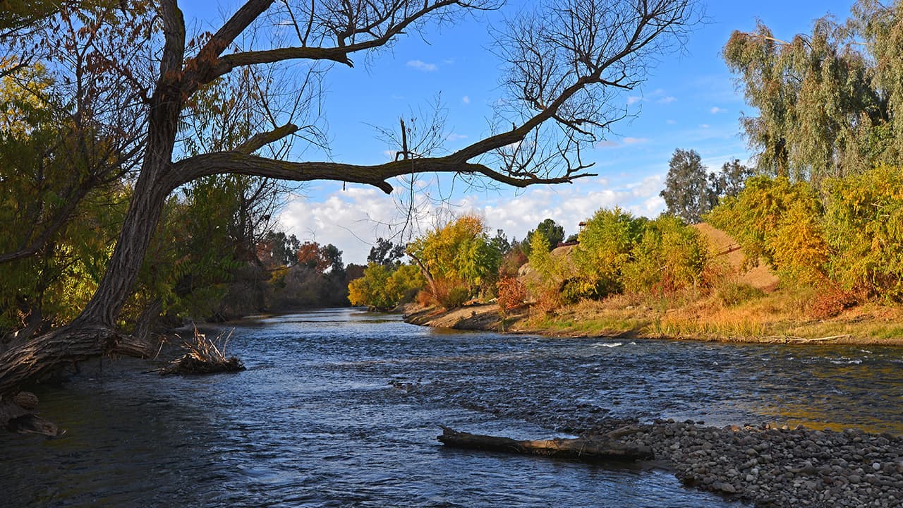 Photo of the Kern River flowing through Hart Park during fall