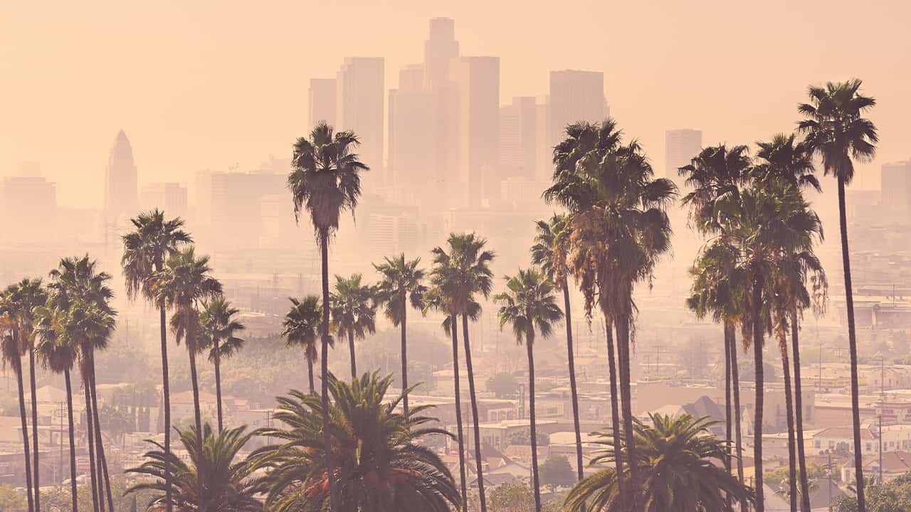 Photo of Los Angeles skyline and palm trees