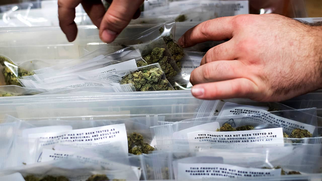 Photo of an employee stocking cannabis at a store