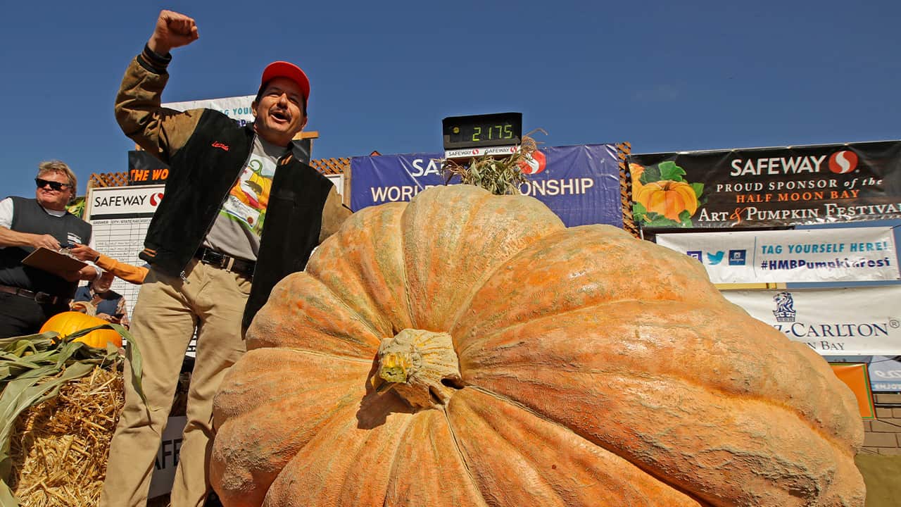 Photo of Leonardo Urena reacting after learning what his pumpkin weighs