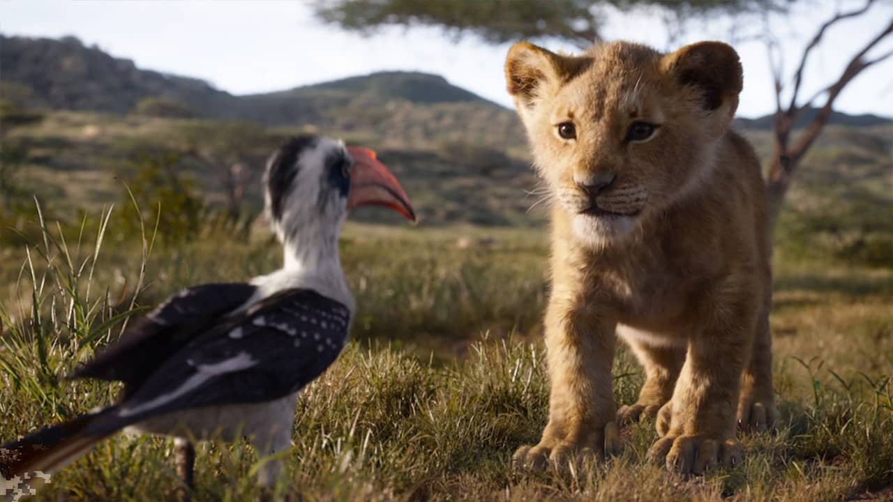 Photo of The Lion King (2019)